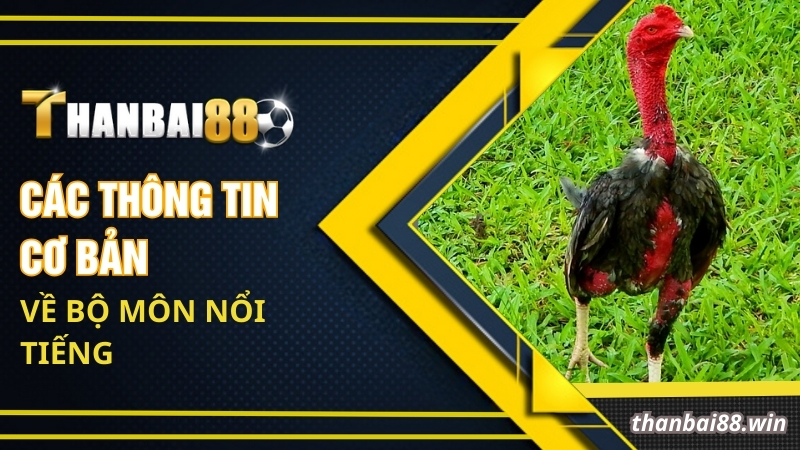 Các thông tin cơ bản về bộ môn nổi tiếng