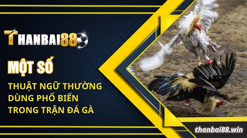 Một số thuật ngữ thường dùng phổ biến trong trận đá gà