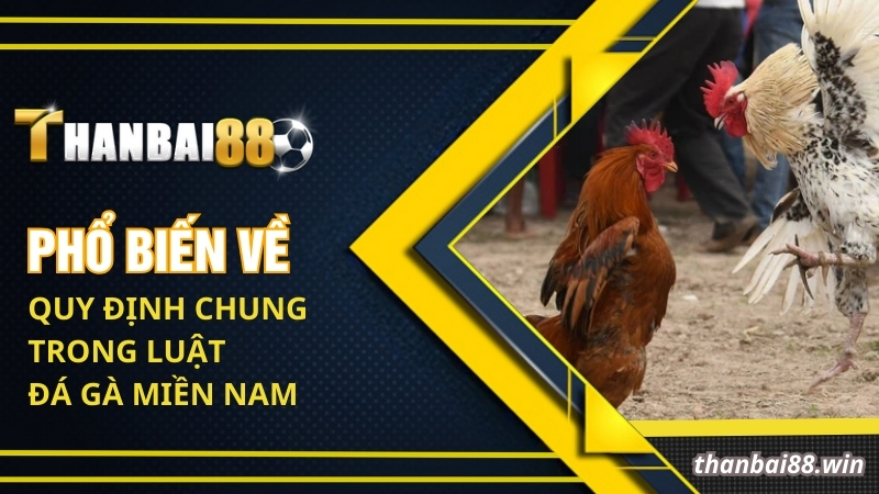 Phổ biết về quy định chung trong luật đá gà miền Nam